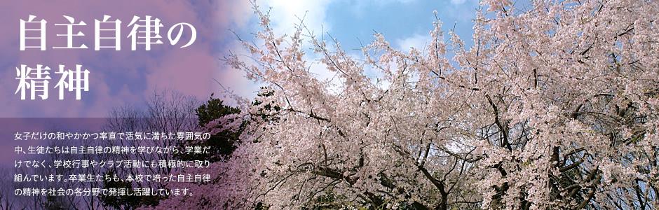 球信网登录线路